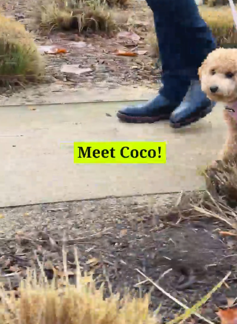 COCO